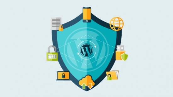 WordPress saytın təhlükəsizliyi
