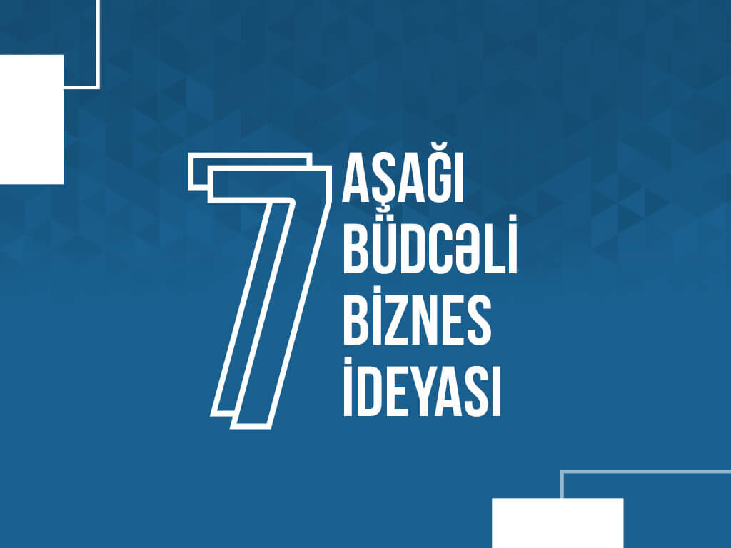 7 aşağı büdcəli biznes ideyası