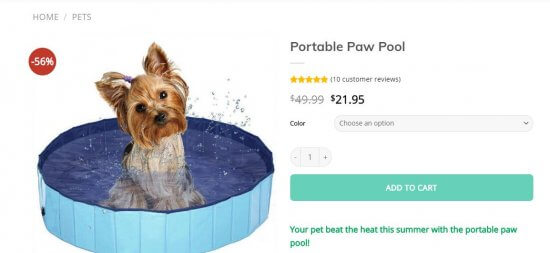 itlər üçün basseyn